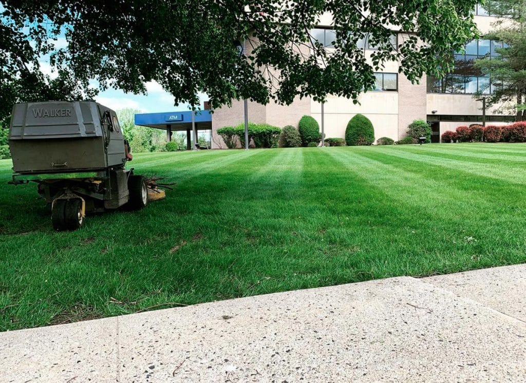 Commercial Landscaping Services in NJ