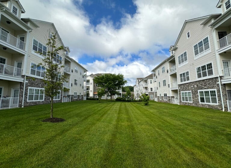 best commercial landscaping companies in North Jersey