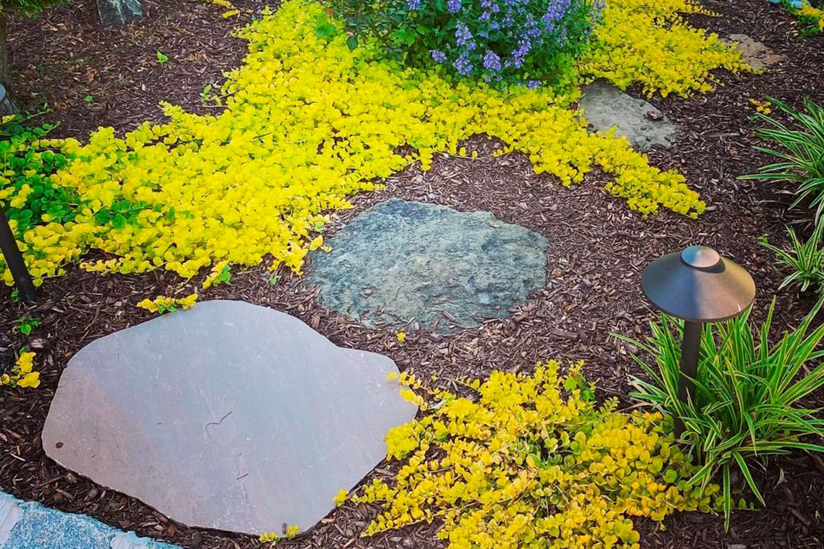 Creative-Ideas-and-Current-Trends-in-Garden-Landscaping