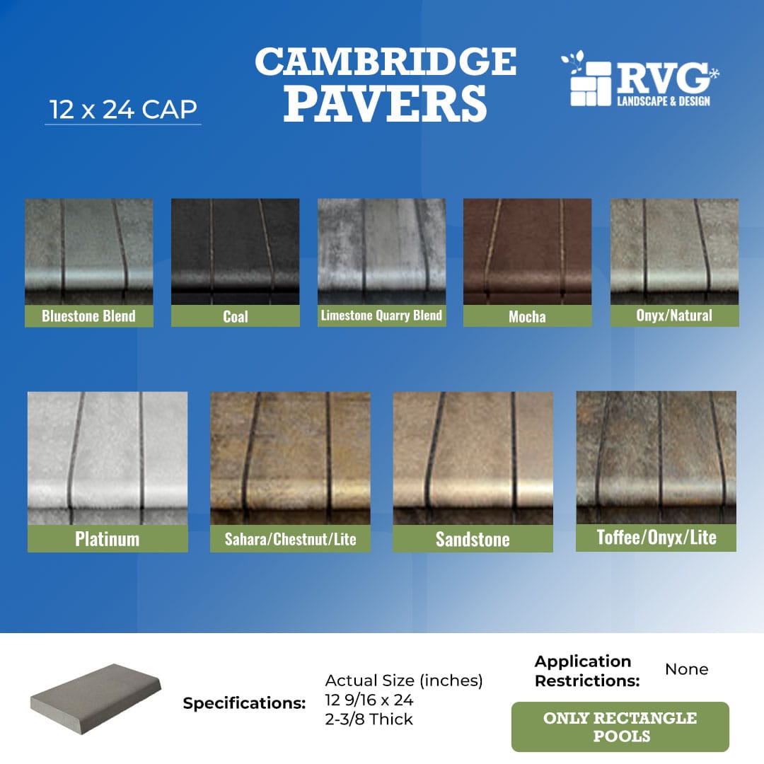 RVG_Pop Ups_12 X 24 CAP