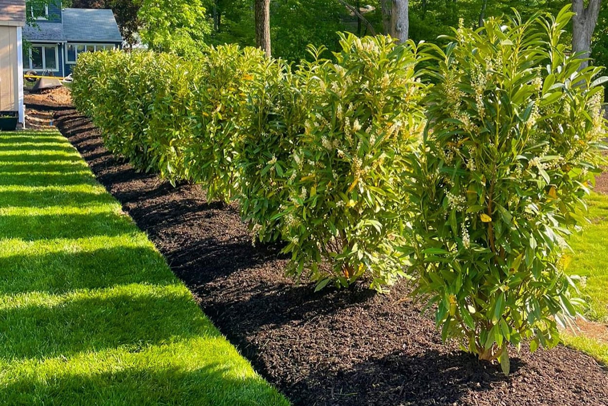 a truck with a plow on the side of the road