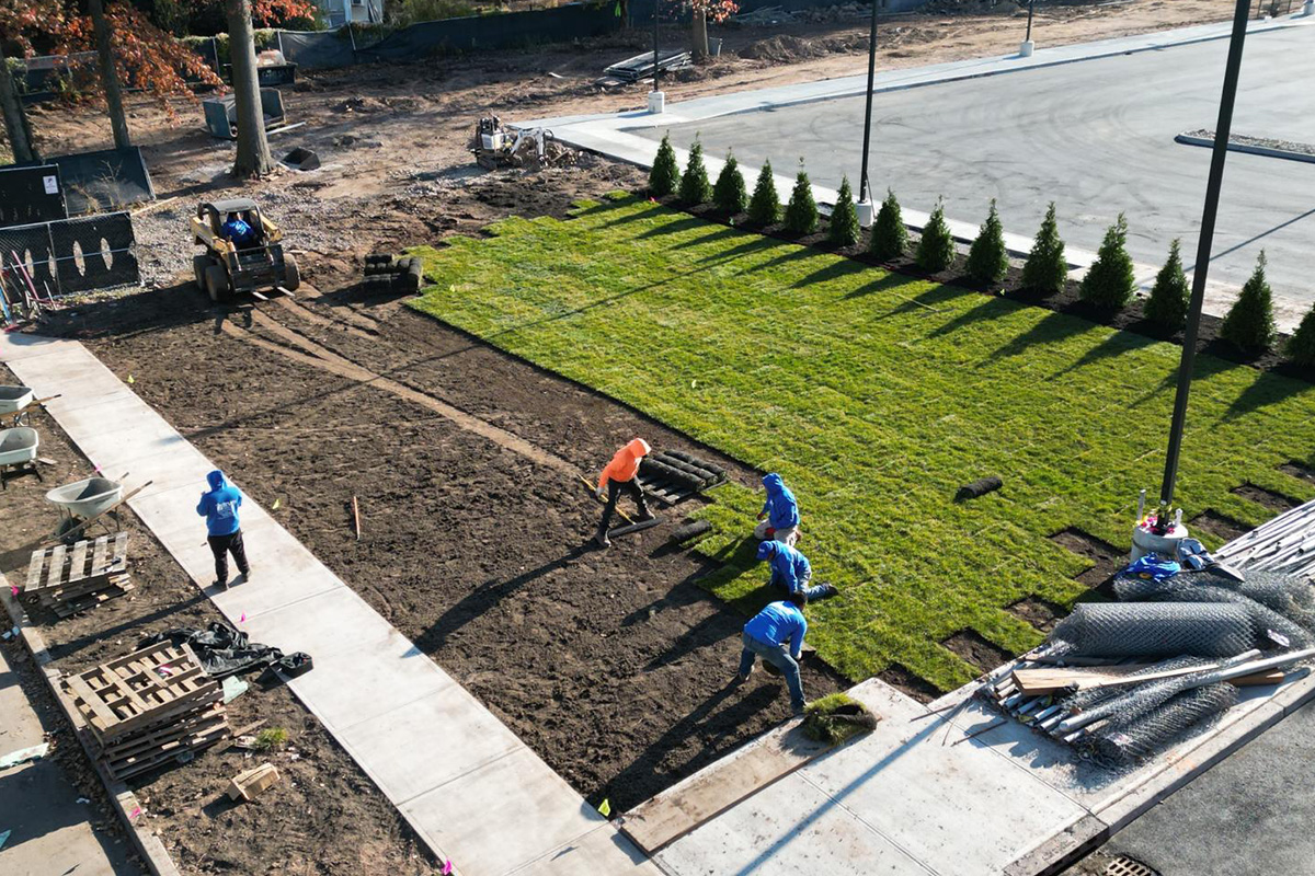 Commercial Landscape Construction