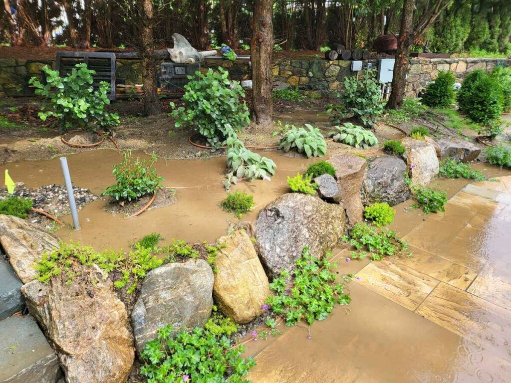 Flooded Landscape and Patio Area.