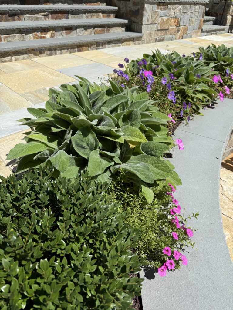 Planting Design Services