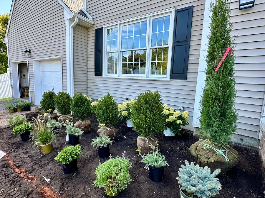 planting services in wayne: staging process