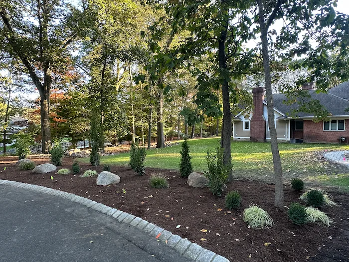 Landscape Design Installation
