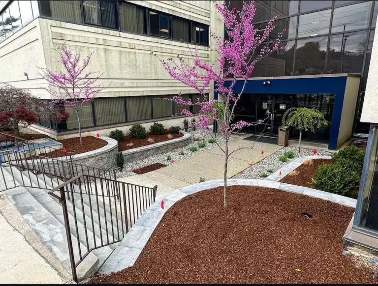 landscaping services in wayne and pompton plains nj