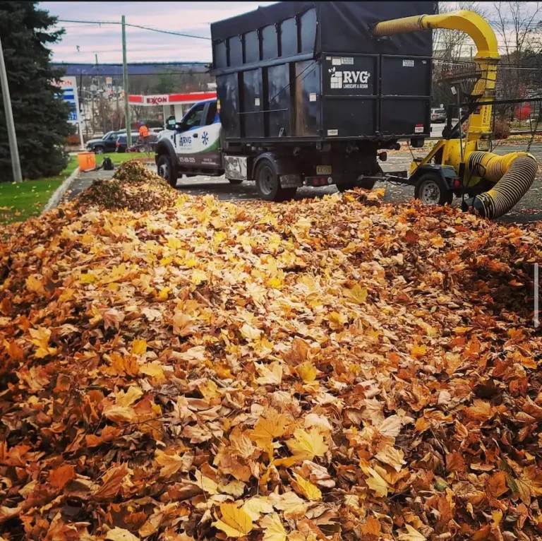 Spring and Fall Clean Ups in Wayne and Pompton Plains