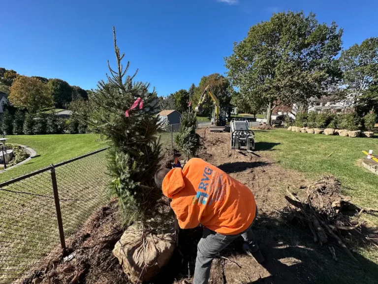 Planting Design and Tree Installation in franklin lakes NJ