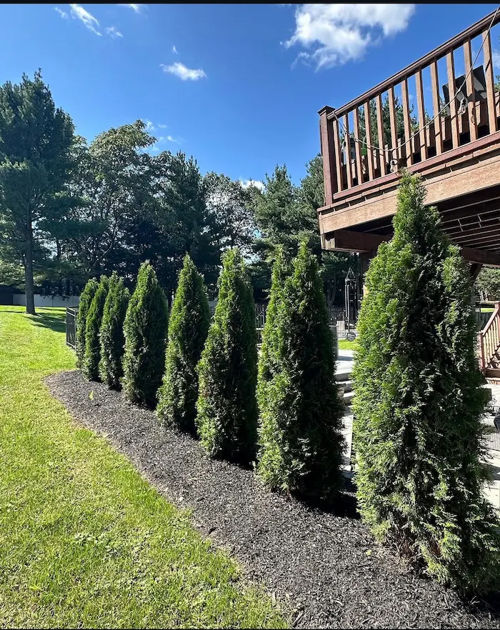 privacy screening in franklin lakes