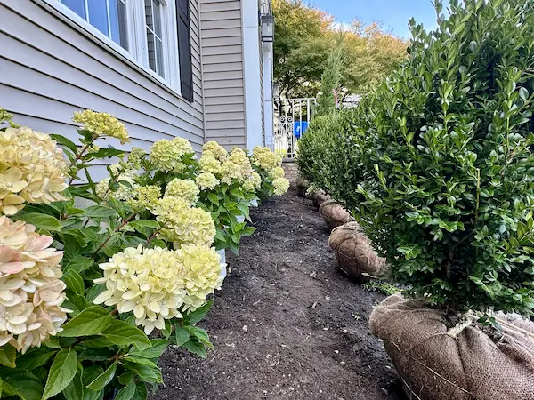 Front Yard Landscape Design in Northern NJ