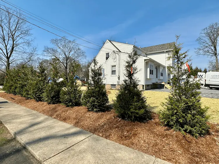 privacy trees for bergen county nj