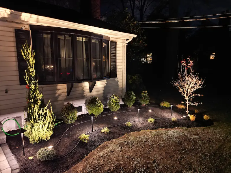 shrubs and perennials