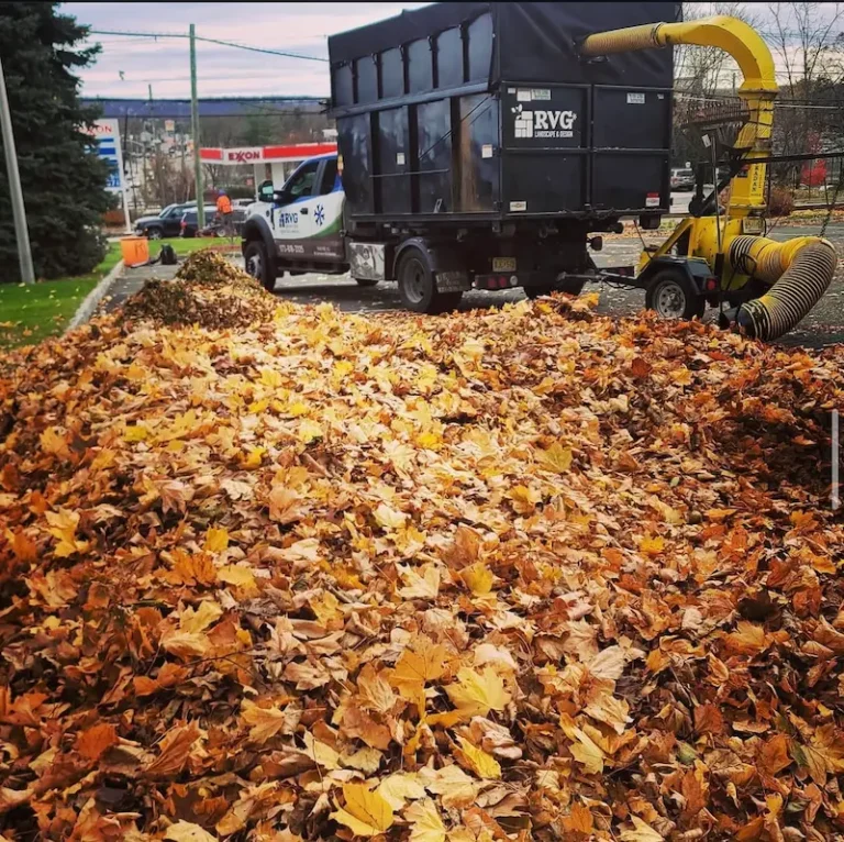 commercial landscaping in Oakland