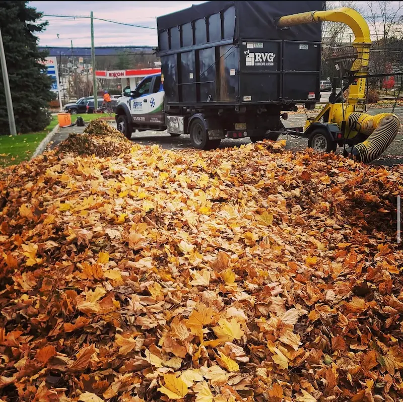 commercial landscaping in Oakland