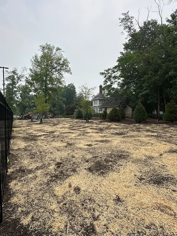 fall lawn renovations in Bergen County