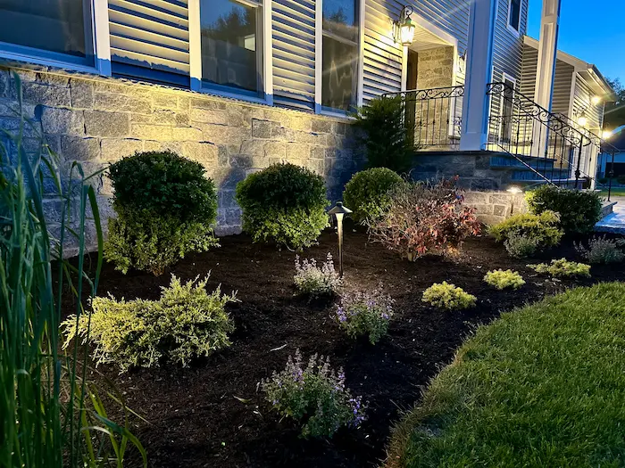 Foundation Planting Ideas Around the House for NJ Homes