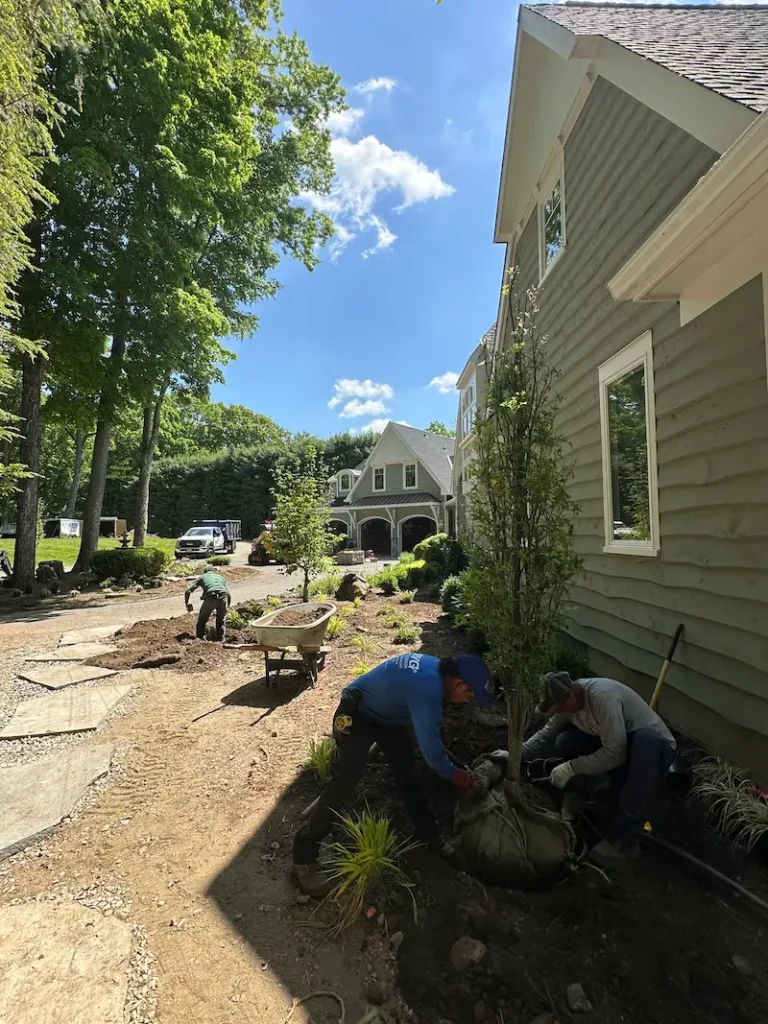 ree-Planting-in-Bergen-County-NJ